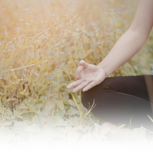 Ayurvedic wellness