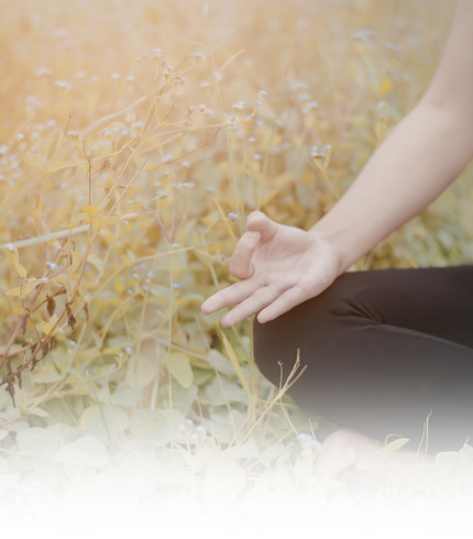 Ayurvedic wellness